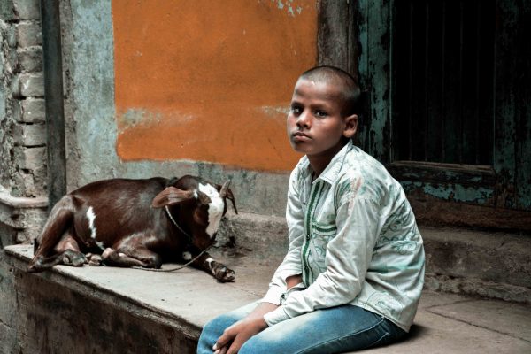 Bambino nelle strade di Varanasi con la sua capretta, India