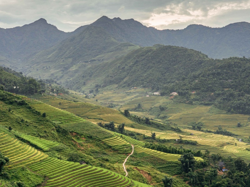 Vista sulle verdi e uniche risaie di Sapa in Vietnam