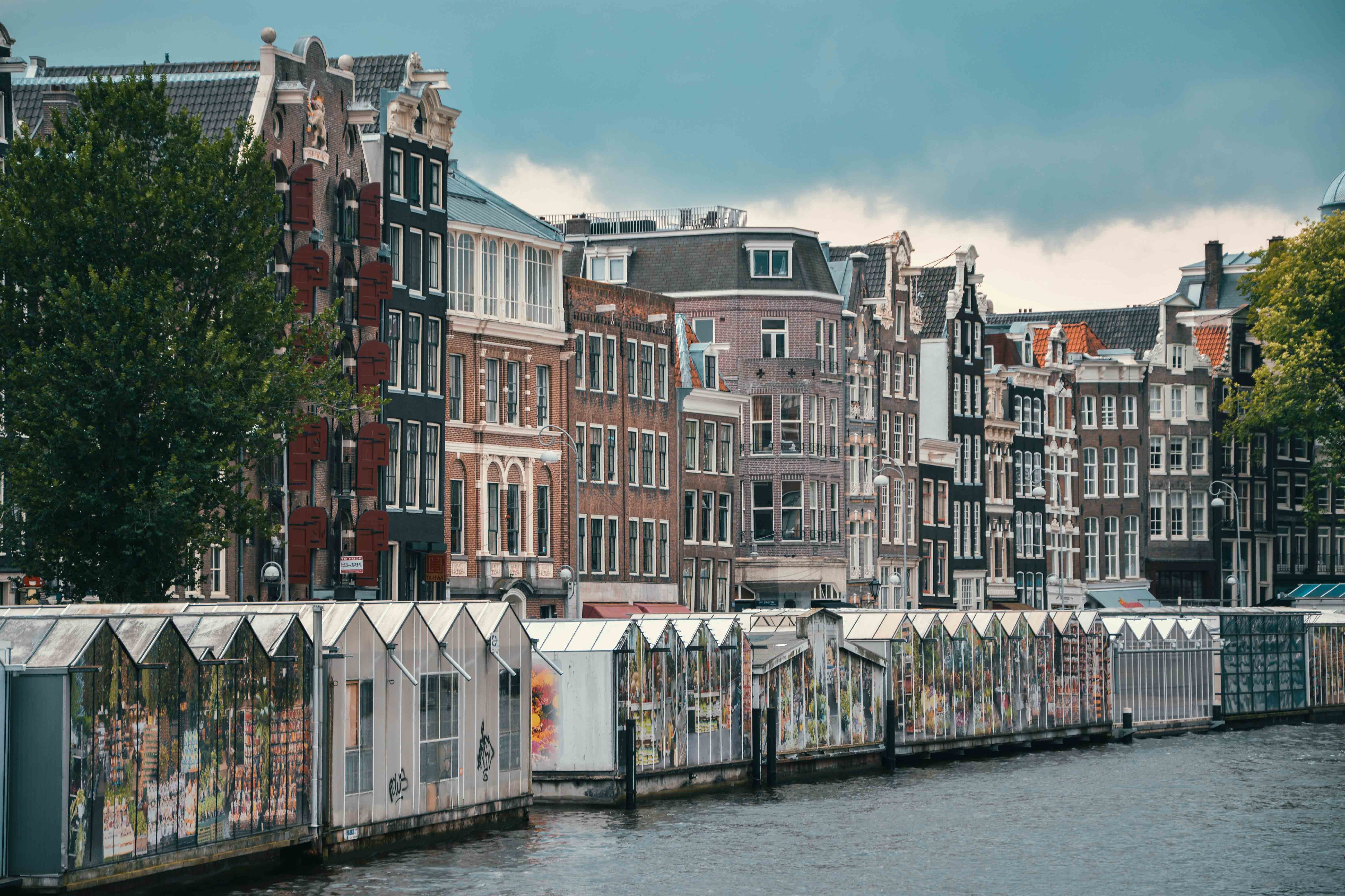 Consigli e itinerari di viaggio in Olanda